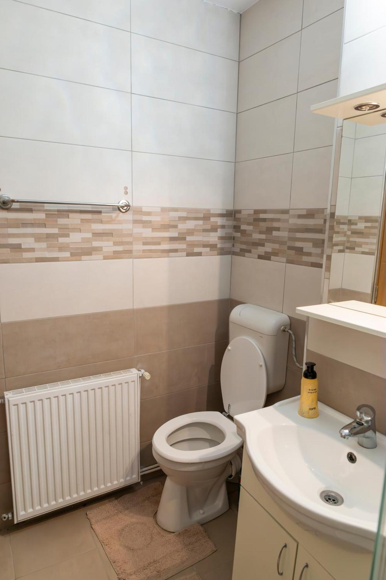 Green Vetiver Apartment Sibiu Exterior photo